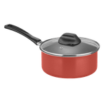 Pan2-COBRE_1000x1000