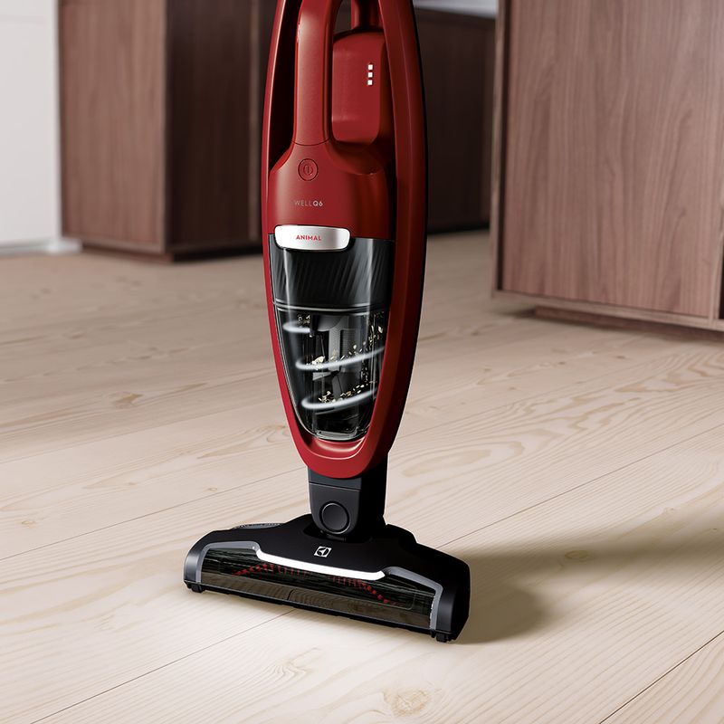 VacuumCleaner_ERG36_Cyclonic_Electrolux_detalhe8