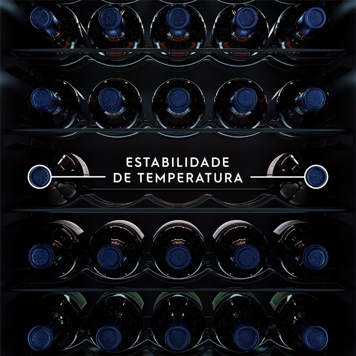 WineCooler_WSF34_Feature_Temperature_Electrolux_Portuguese-detalhe4