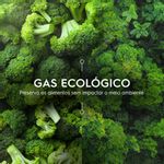 WineCooler_Gas-Ecologico_Electrolux_Portuguese_200x200-8