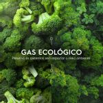 BeerCooler_Gas-Ecologico_Electrolux_Portuguese