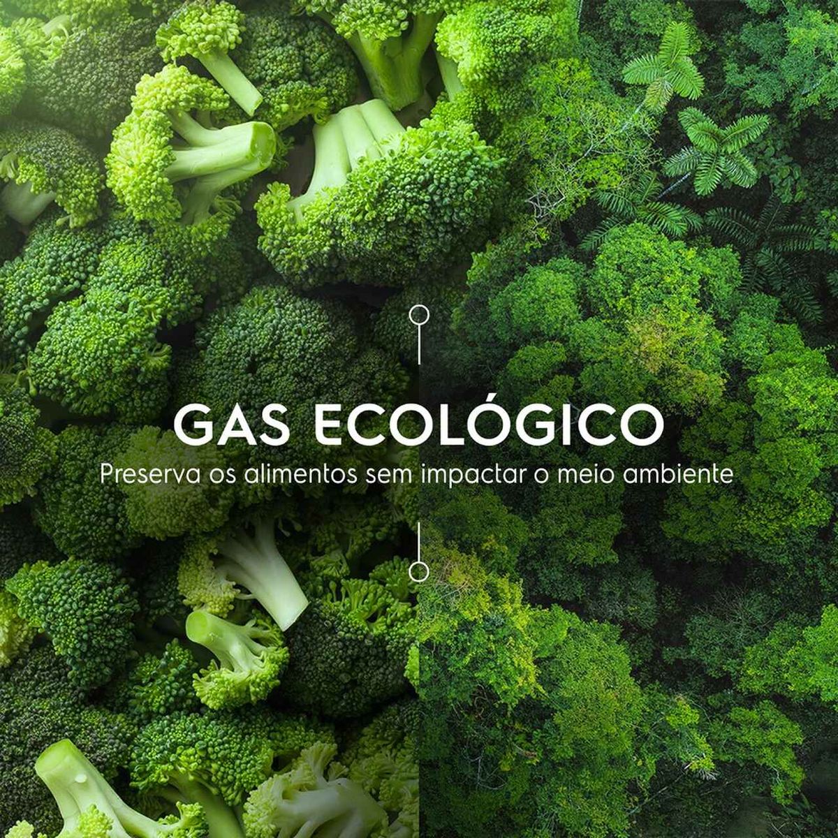 81_81_Refrigerator_GasEcologico_Electrolux_Portuguese-1000x1000-11