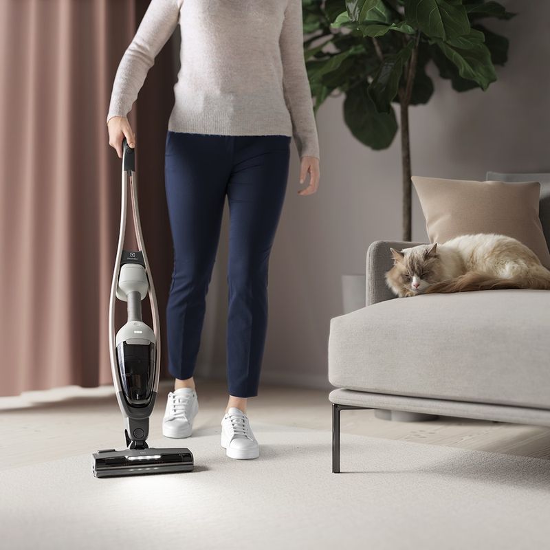 ff_ff_Vacuum_Cleaner_ERG50_LowSound_Electrolux_1000x1000-1000x1000