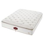 image-7990a93c22664b9eb956339240df1647