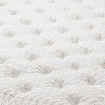 image-d68febe8329445ab9afa883eb0227c43