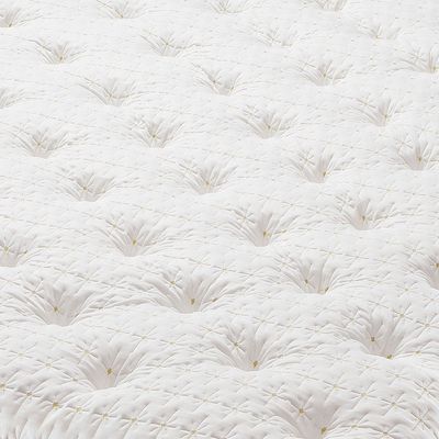 image-d68febe8329445ab9afa883eb0227c43