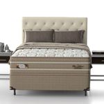 image-a0095b9a53894fae8134bf16bf82c878