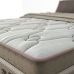 image-6995c155e242442d81cd29feb1181f93