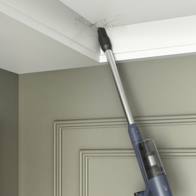 7909569485019_12-6000x6000