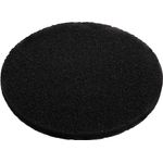 2025-04-10-10-38-33-BR8S4-copiar-4273x3113.raw