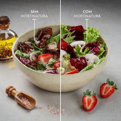 Refrigerator_Hortinatura_Electrolux_Portuguese-500x500