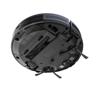 7909569505441_4-1000x1000