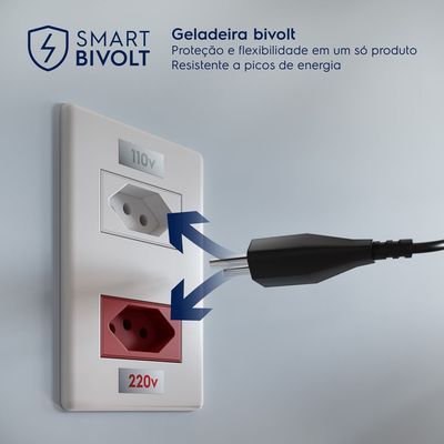 Refrigerator_BiVolt_Electrolux_Portuguese-1000x1000
