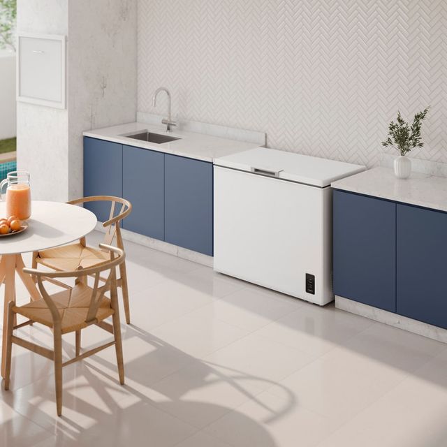 Freezer Horizontal Electrolux 245L Inverter Bivolt Uma Porta
