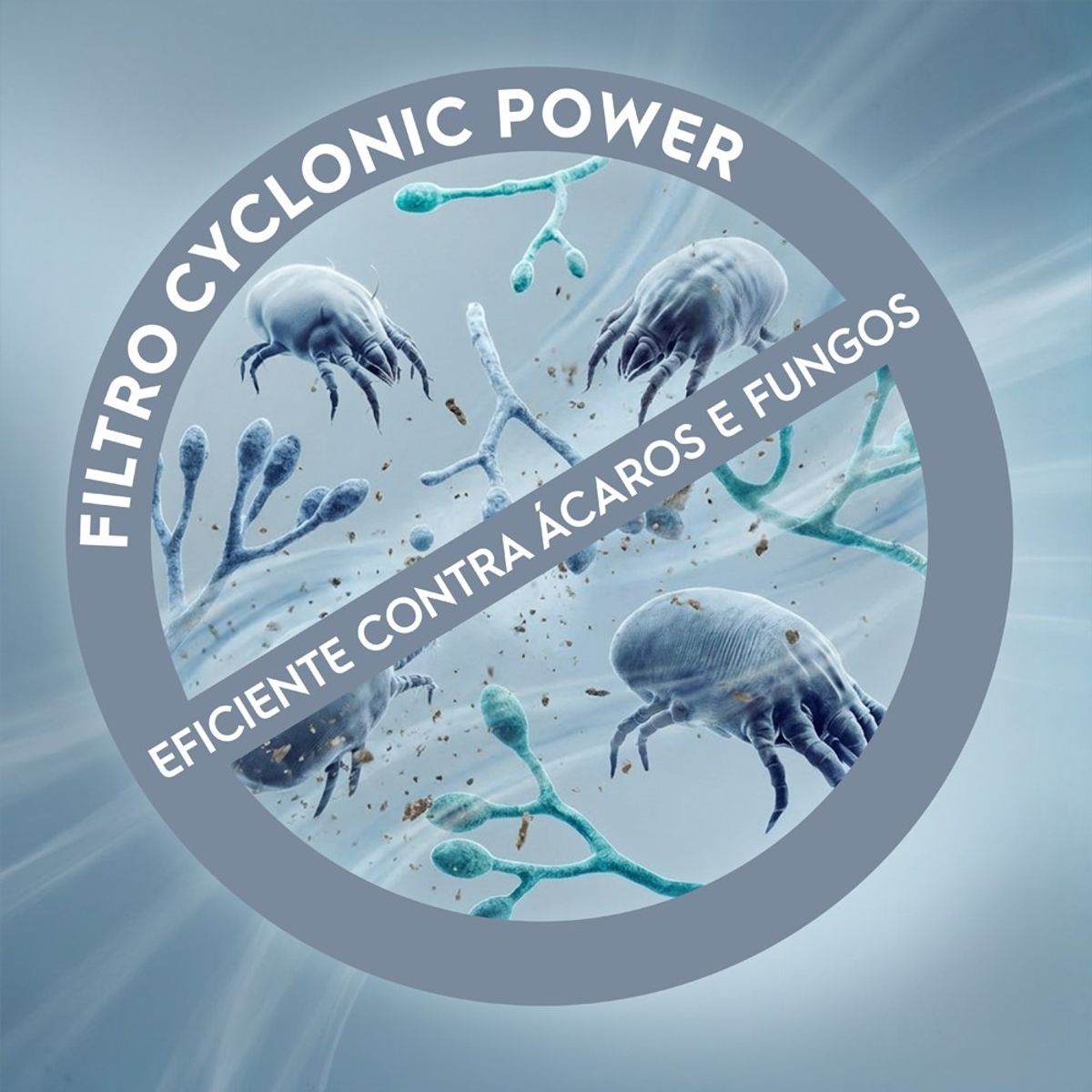 vacuum_filter_Electrolux_protuguese-1000x1000