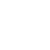 Alt Item